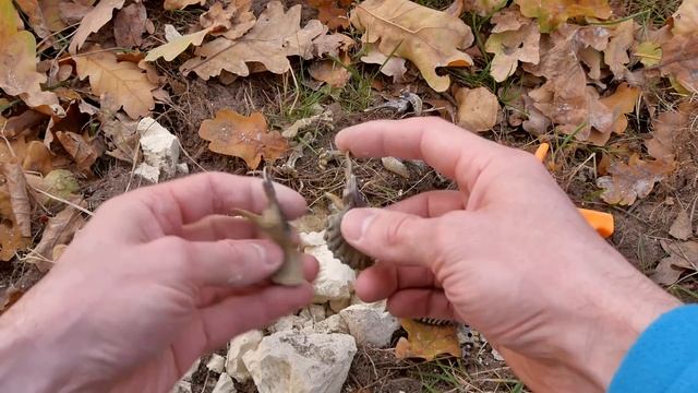 Видео для детей - Играем в археологов и собираем динозавра. Развивающий детский набор