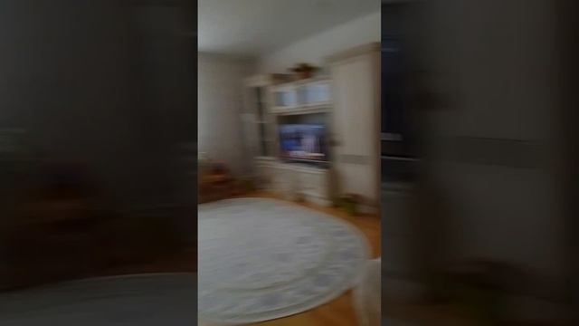VID-20241117-WA0082