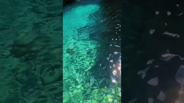 А вы любите природу?