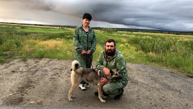 50 серия Жизнь на реке. Спасение верного друга с Полярного Урала. Лайка по кличке Пуля.