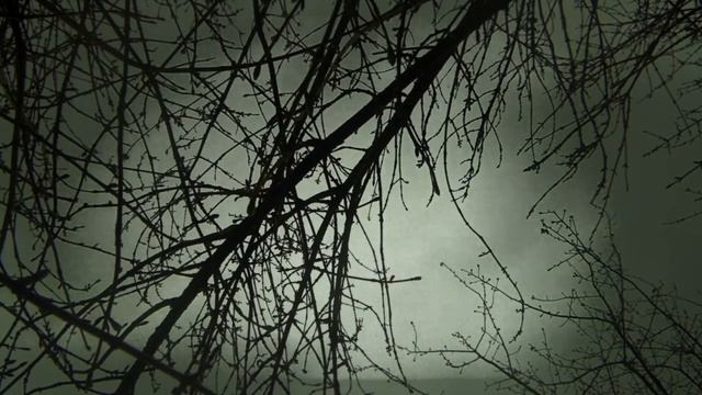 M-A bass vi ambient soundscape