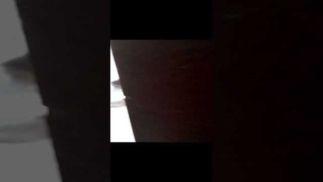 ксюшена кравать