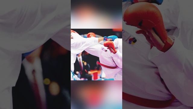 Всероссийские соревнования по Каратэ 2024 Игорь Лизунков.mp4