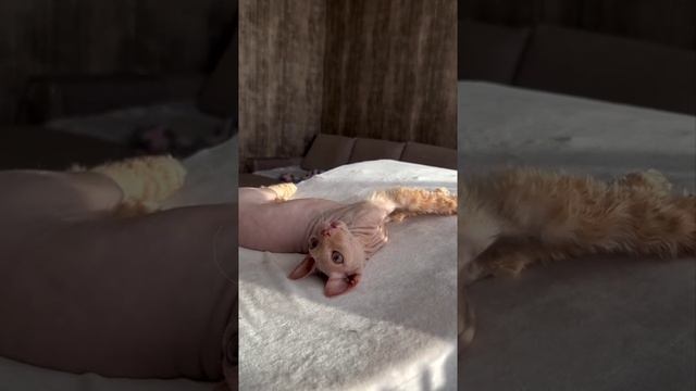 Утеплился на зиму)))