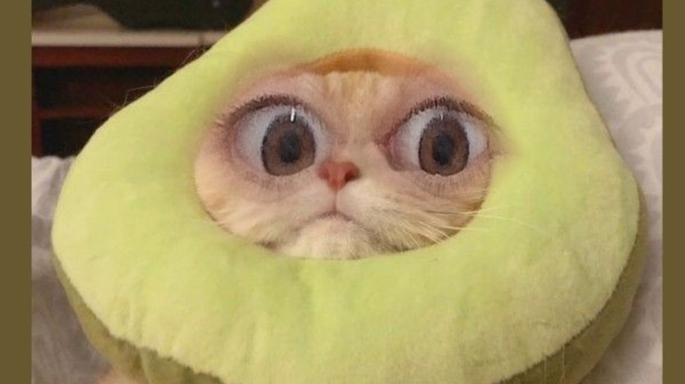 повторяй листы для заметок