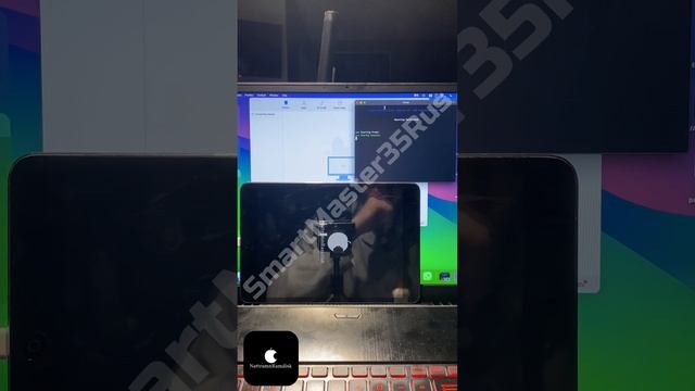 Разблокировка Passcode блокировки на iPad Mini 1st 16GB Black без потери данных