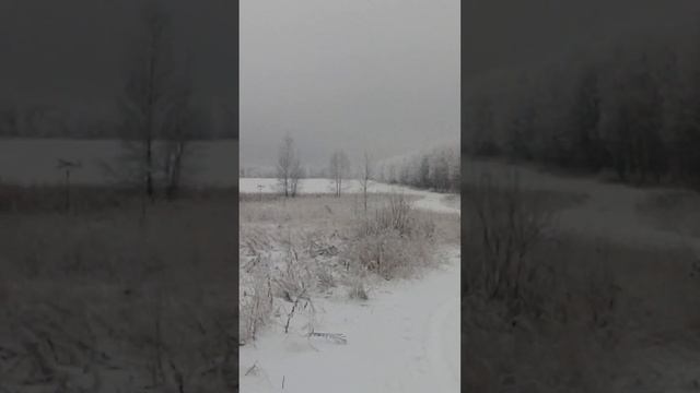 Дед мороз заморозил...