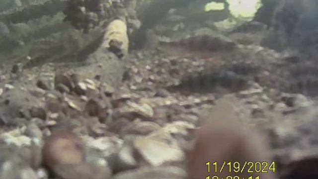 1000033076.mp4Волга гл5м.19.11.2024г.