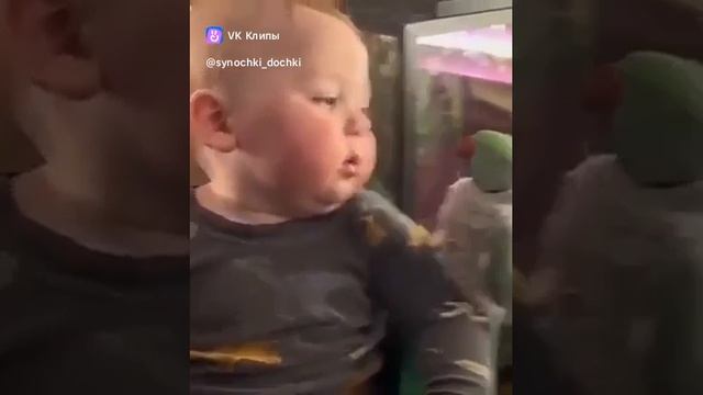 vkclips_20241119124328