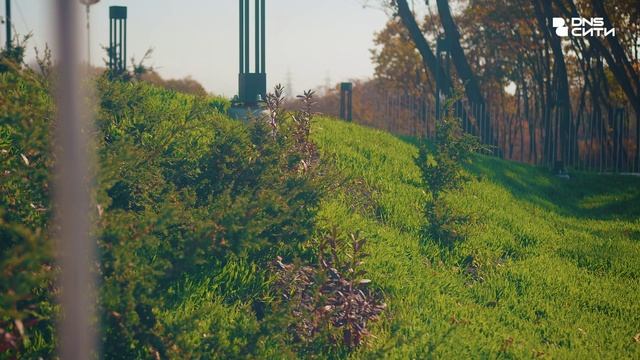 ДНС Сити. Двор-парк