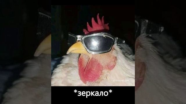 ЗЕРКАЛО