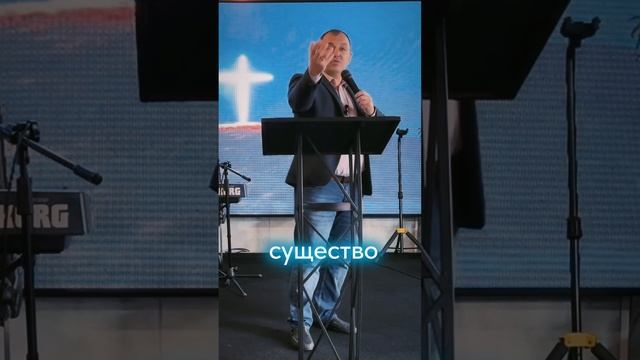 Древо жизни