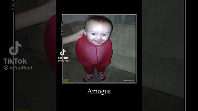 1000008814.mp4
