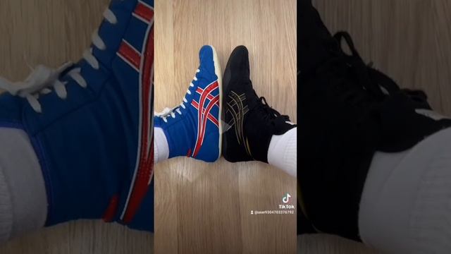 scene_output.mp4