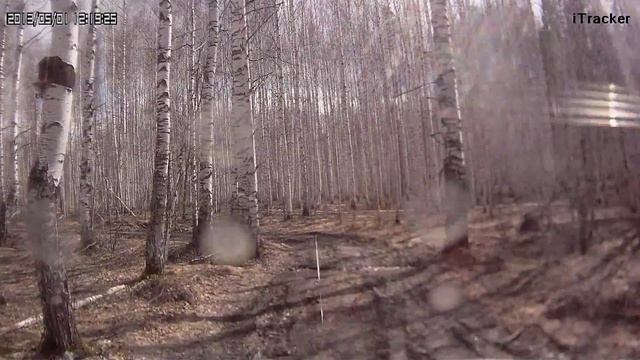 Дорога от Усть-Шиш на поселок Тайга, озеро Тайгинское (1 мая 2013 года)