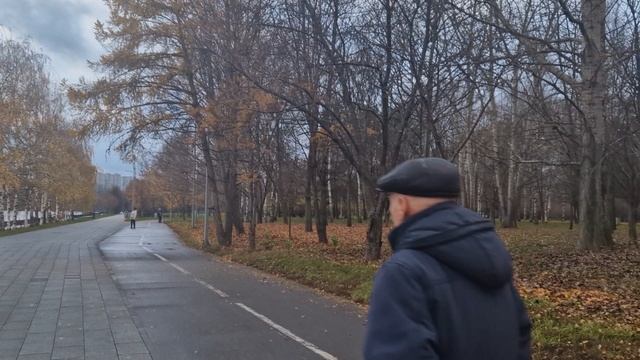 Унылая пора.....ноябрь.