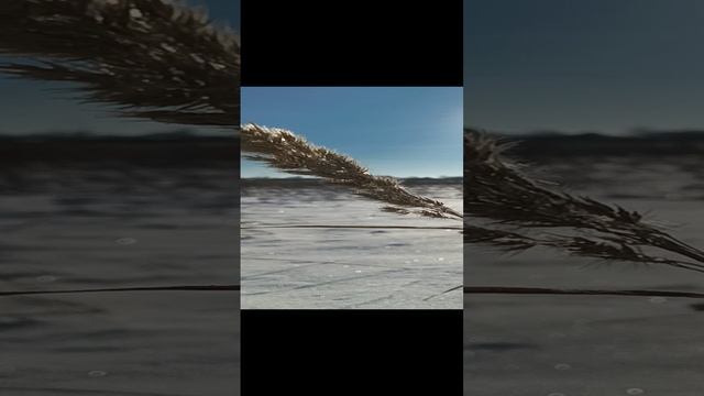 1007099561.mp4