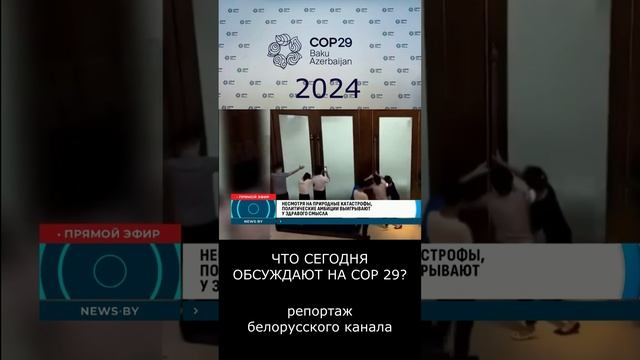 СОР 29 - это просто говорильня, результатов нет