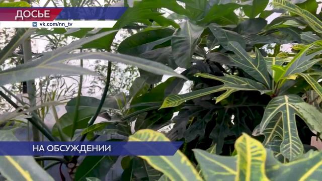 Возраст для соискателей премии в сфере охраны окружающей среды рассмотрели депутаты ЗСНО