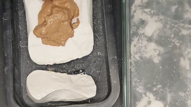 АСМР ~  Приятные звуки воды  Замачивание  ASMR ~  Pleasant Water Sounds  Soaking