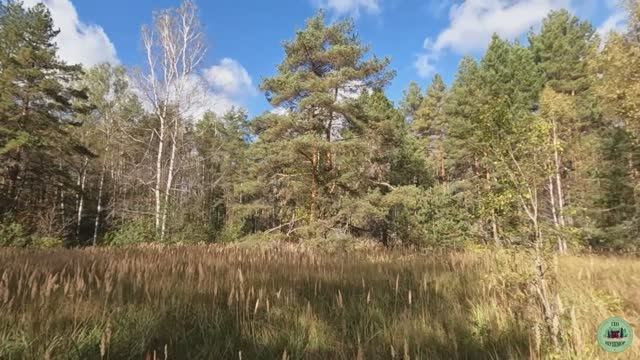 Мегалитический комплекс на Топкой поляне