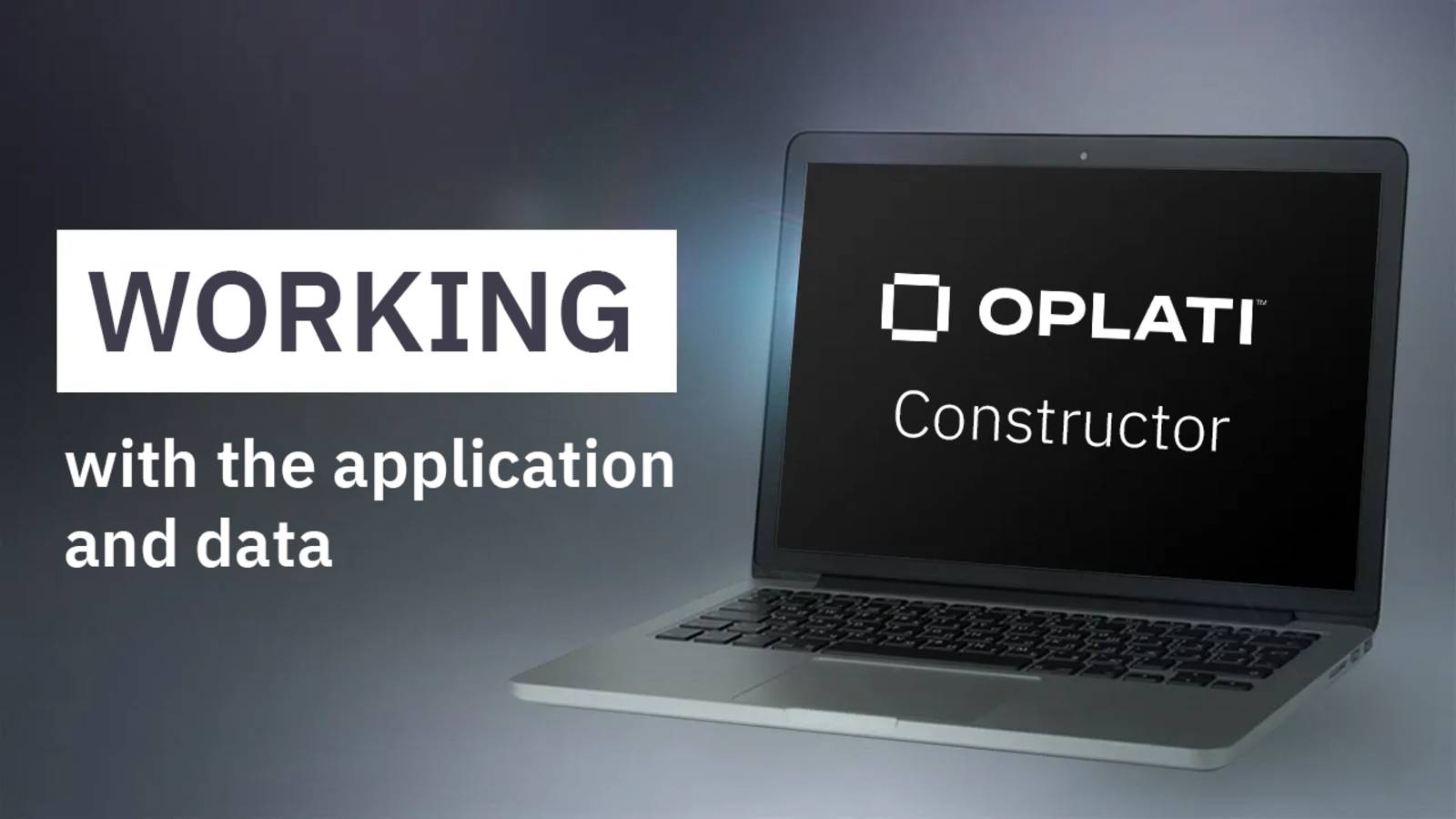 Oplati.Constructor: working with the application and filling in data
