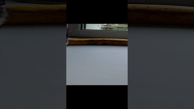 VID_20240804_090412.mp4