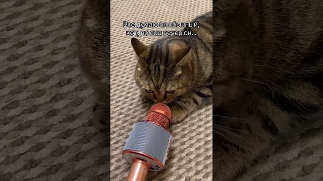 Пятница