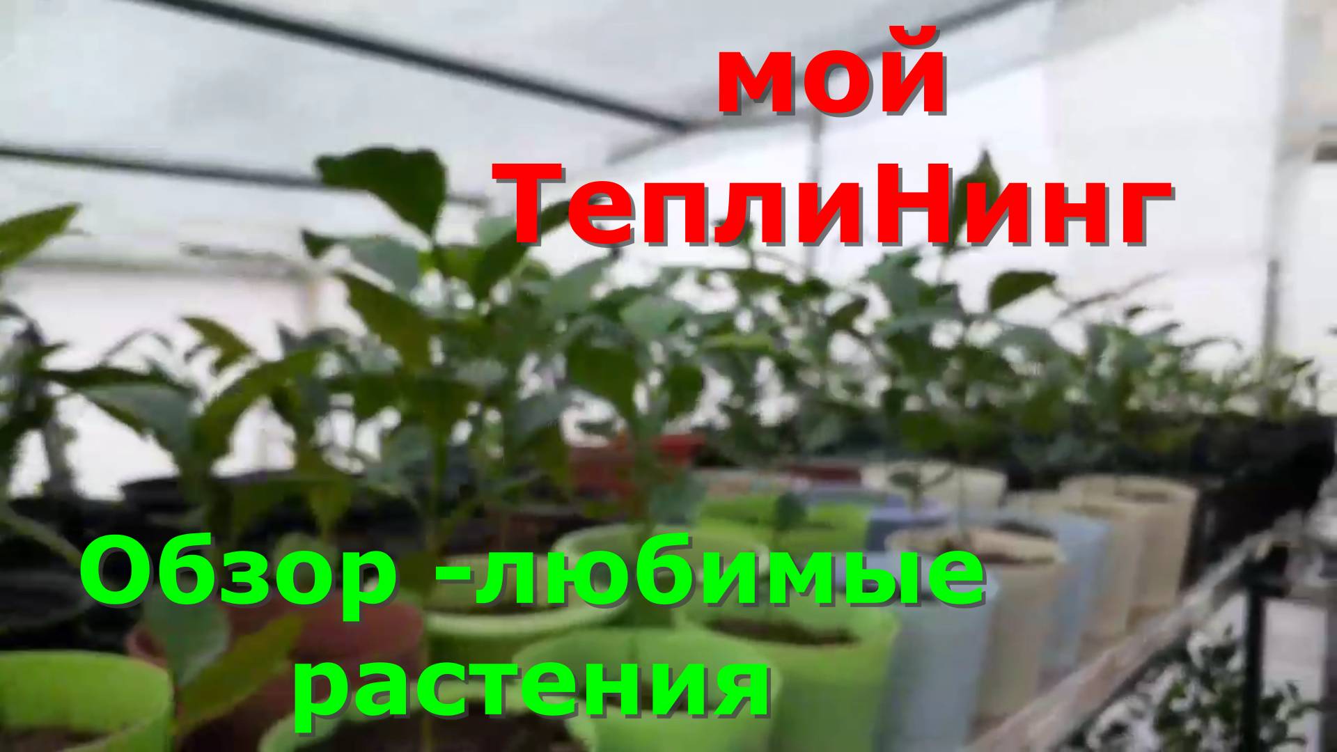 Дом построил ,завершаю теплицу (Теплининг) Прошло 9мес с момента переезда в Краснодарский край.