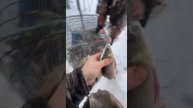 #FISHING_video