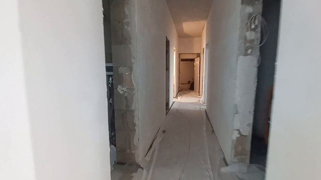 50682881