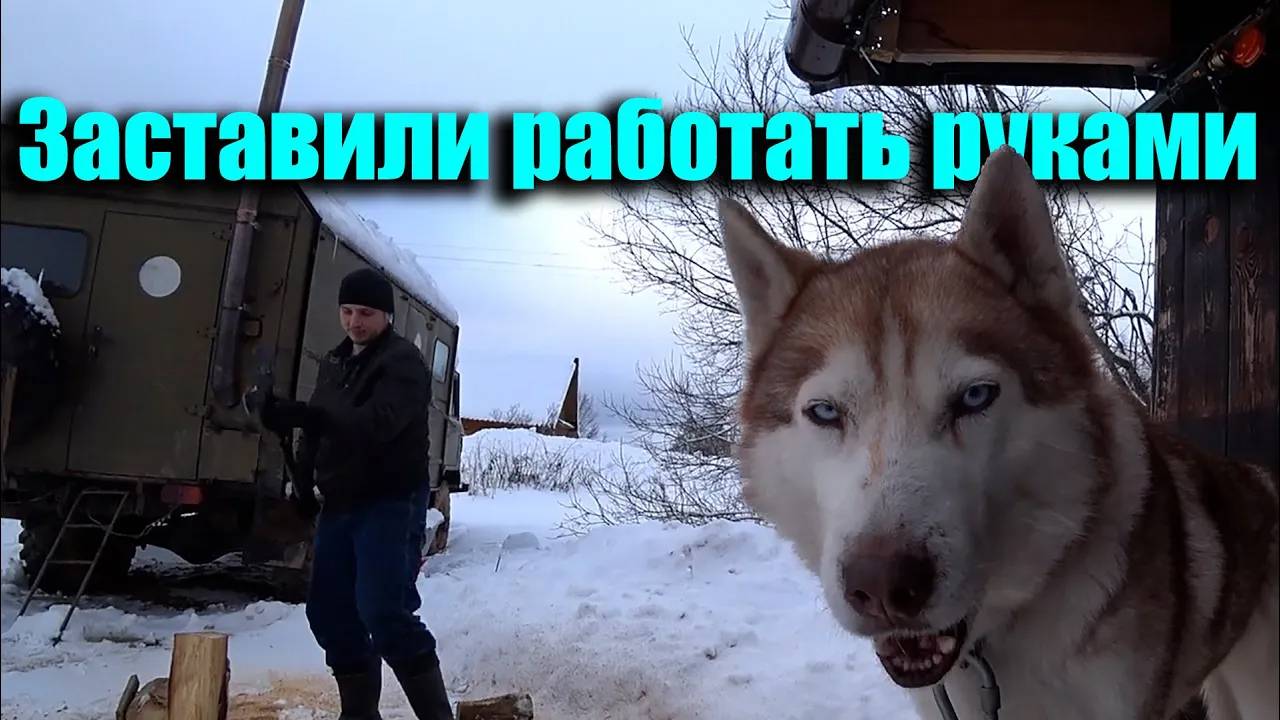 Пошаманили и она ожила.