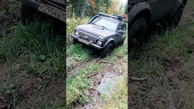На заре, небеса зовут меня… ⛅️ #бездорожье #automobile #offroad #оффроад #нива #тикток #подпишись