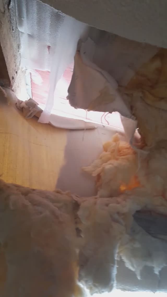 Это была РОСОМАХА😱... Да-Да! 28.02.2024