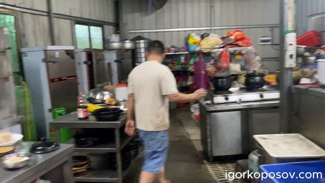 Дунгуань. Парк рисовых полей в 金色水乡稻田公园. Dongguan. Деревенский ресторан