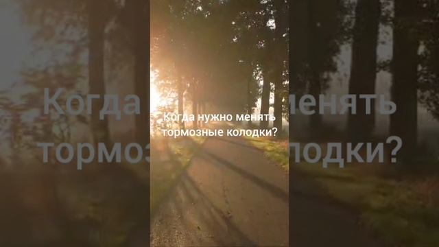 Когда менять тормозные колодки