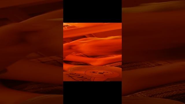 1000004790.mp4