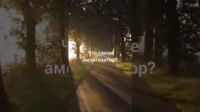 Что такое амортизатор