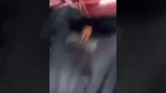 Он делает людей счастливыми  ❤️