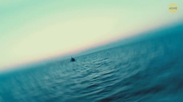 Факты о "Титанике", о которых не писали в заголовках. Подводные руины затонувшего корабля