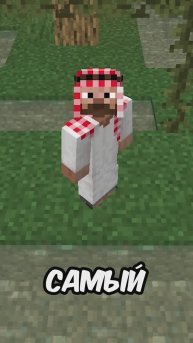 Самый маленький моб в майнкрафт 😳😱🤔