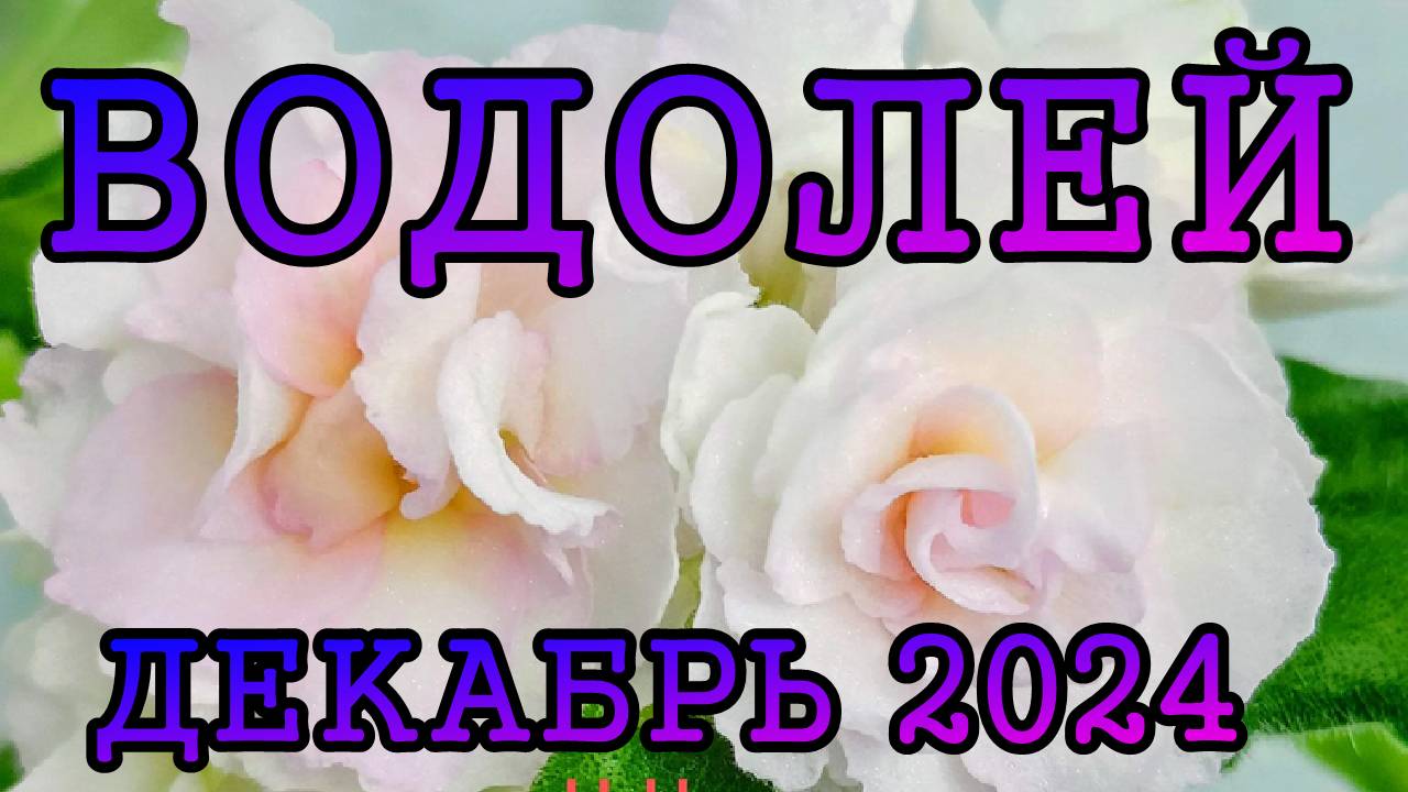 ВОДОЛЕЙ таро прогноз на ДЕКАБРЬ 2024 года.