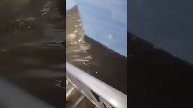 Наводнение в госпитале в Петаре (Каракас, Венесуэла, 17.11.2024).