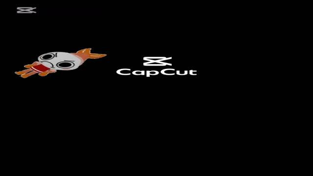 креветка, креветка, креветка, креветка очень много креветок😰