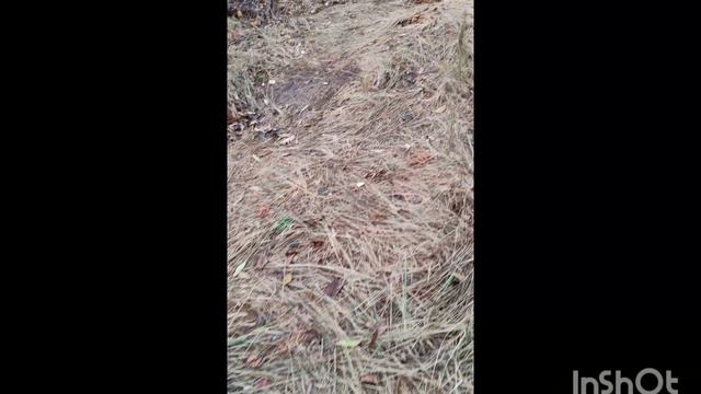 Принятие Реальности означает стать равными Богу