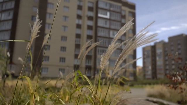 "Поступью, внутри", 2023