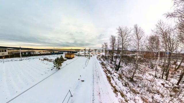 3155034