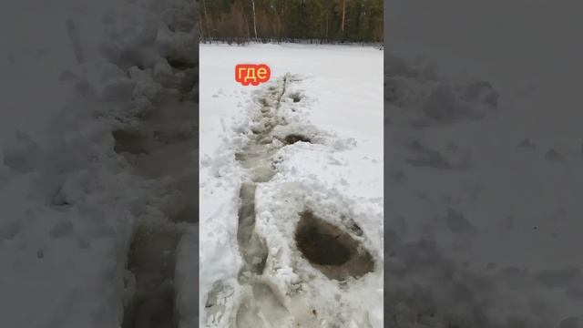 🤣💯👍Ю М О Р .приколы на рыбалке!!!