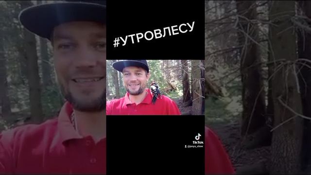 УТРО В ЛЕСУ | РУЧНОЙ ДЯТЕЛ | ПРИРОДА И ЧЕЛОВЕК | GOOD GARIK