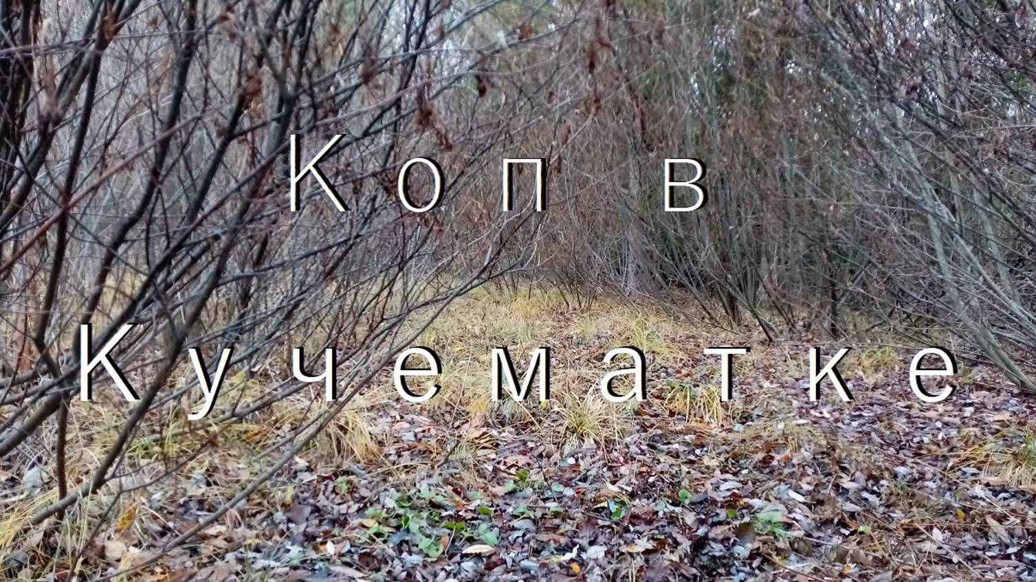 Коп в Кучематке